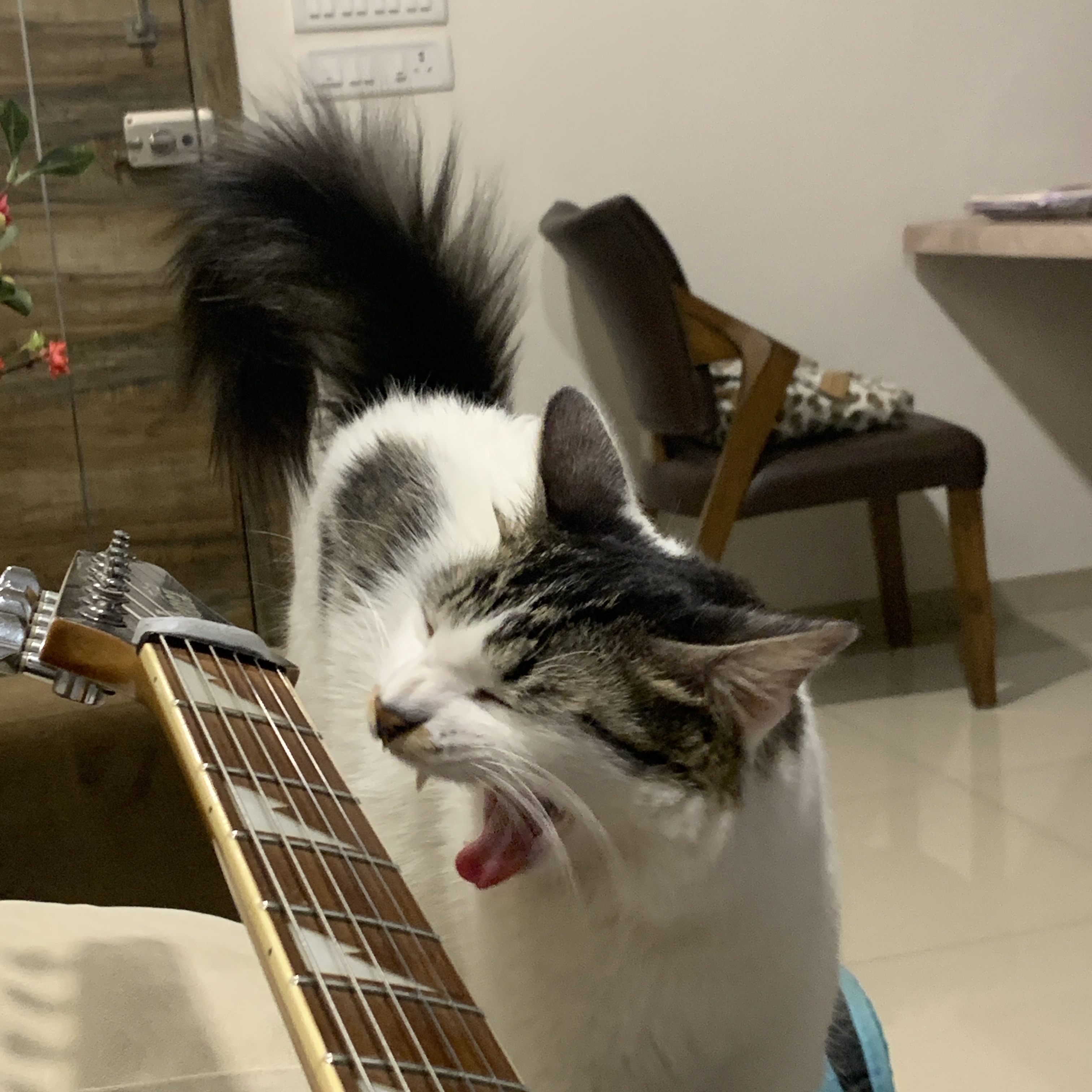 he sings 
the song of his people