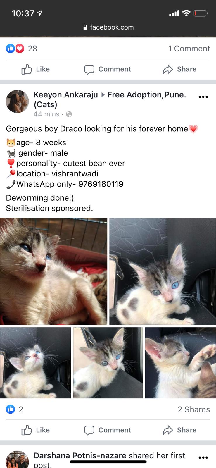 the first 
mention of the goblin creature of bavdhan