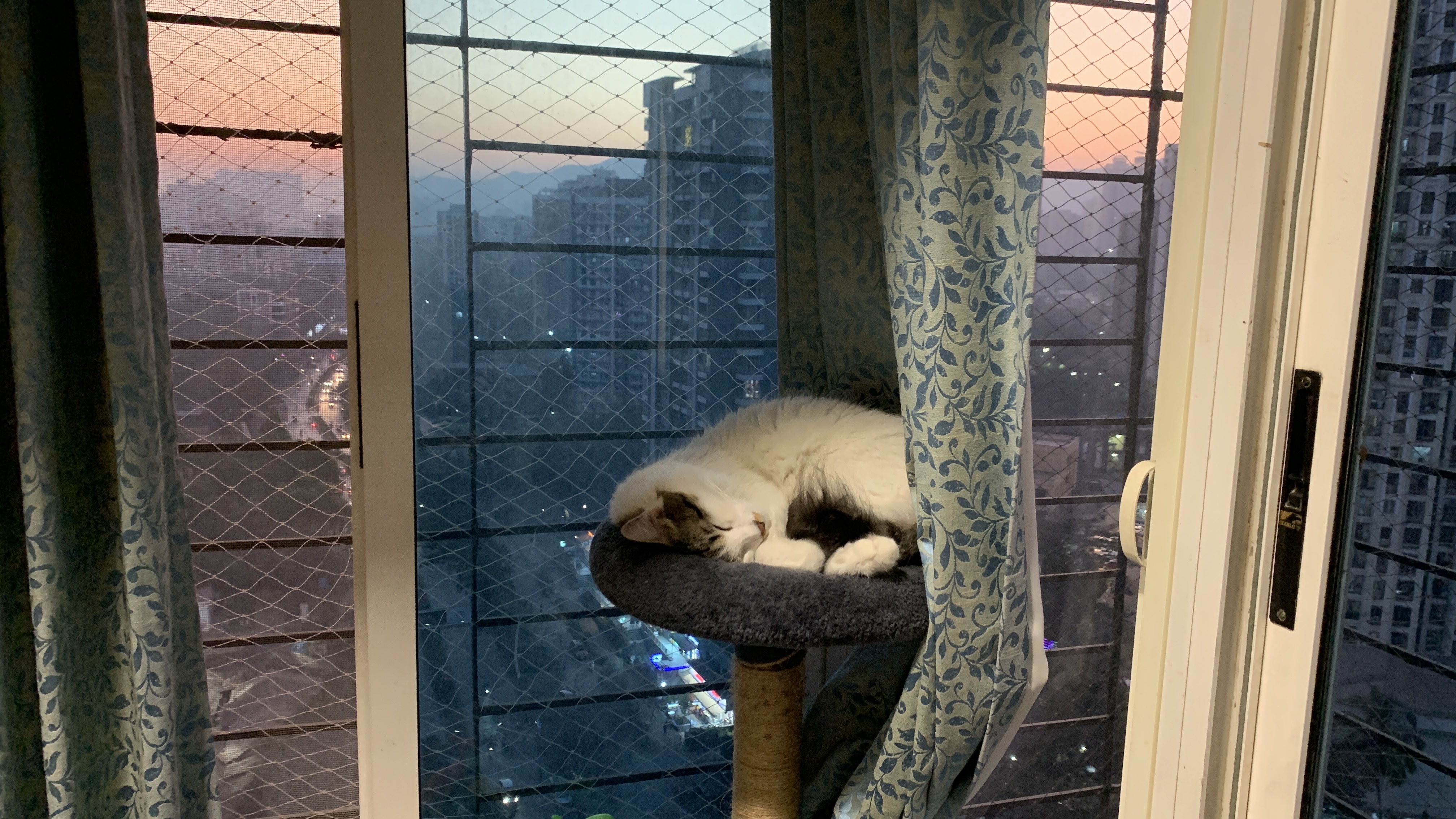 aesthetic 
sleepy boy