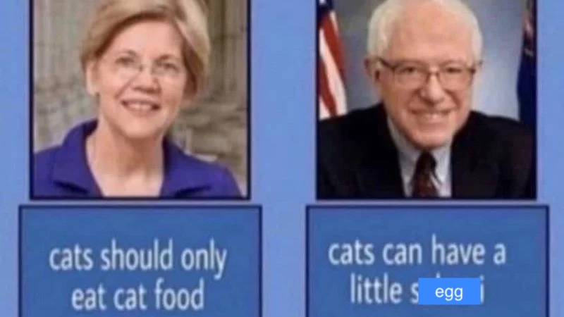 an image 
showing pictures of Elizabeth Warren and Bernie Sanders with text 'Cats should only have 
cat food' under Warren's picture and 'Cats can have a little egg' under 
Sander's picture